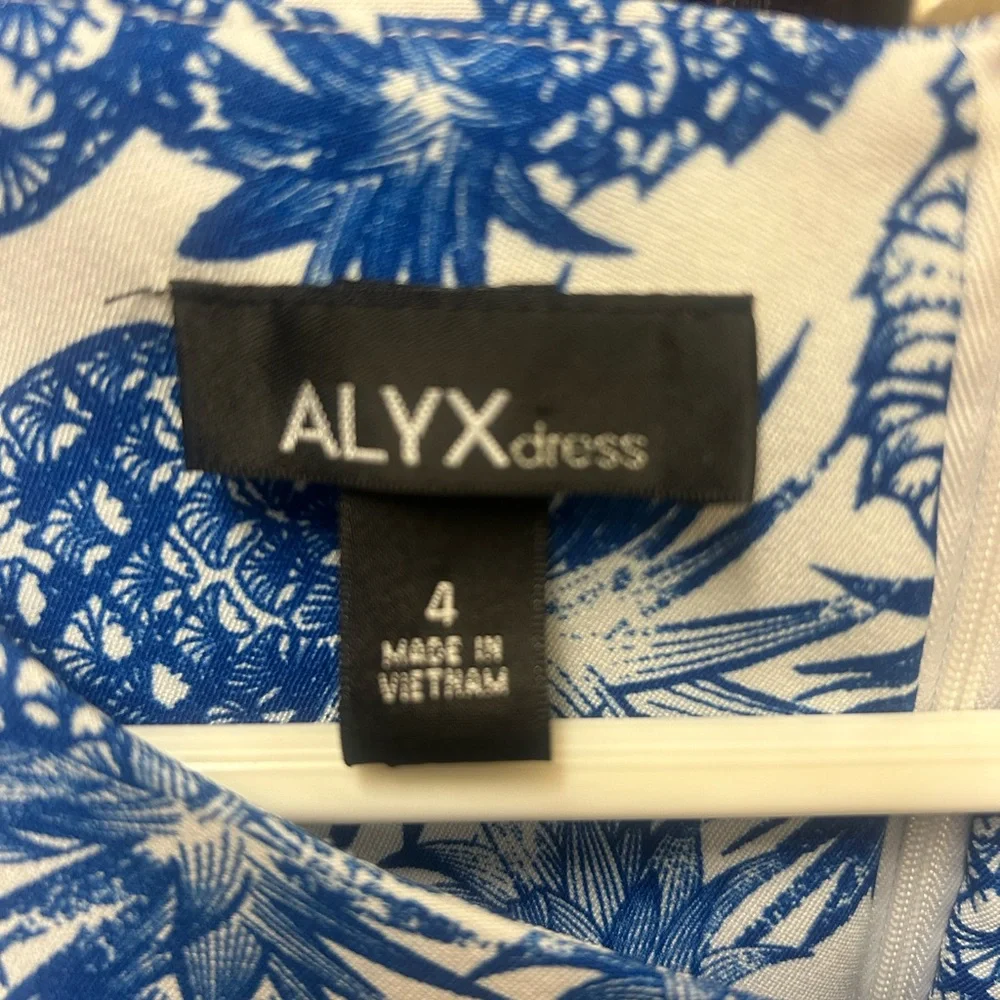 Blue and White Sleeveless pineapple Dress - Picture 4 of 7